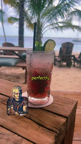 Bourdain on the nearest hammock🌴 #anthonybourdain #islandlife 