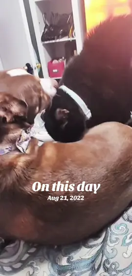 #onthisday 