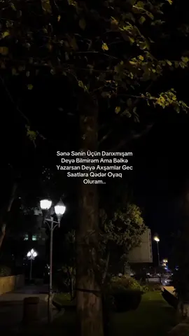kaş birazda olsa cəhd ederdin 
