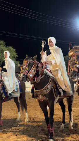 #ذكر_الله_واجب😍🕊 #تبارك_الله❤️🧿 #يسلم_الفارس_وحصانه🔥 #نادي_سعدون_السويحلي_للفروسية_مصراتة_1974 @ابراهيم ابورويص 