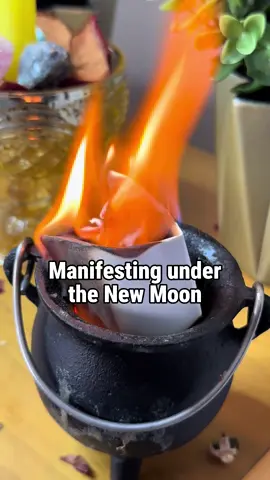 🌑✨ Moon Magic 101: New Moon vs Full Moon ✨🌕 The moon’s cycles guide our energy—and knowing when to manifest vs release is key. 🌙 🌑 New Moon → A time for fresh beginnings. Set intentions, write manifestations, and plant seeds for what you want to grow. This phase is all about calling things in. ✍🏽💫 🌕 Full Moon → A time for reflection and release. Let go of what no longer serves you, cleanse your energy, and celebrate your progress. This phase is about clearing space so your manifestations can thrive. 🔥🌿 ✨ The Difference: New Moon = Manifest + Create Full Moon = Release + Reset Work with both phases, and you align with the universe’s natural rhythm. 🌌 #NewMoonManifestation #FullMoonRelease #MoonMagic #ManifestWithTheMoon #LunarEnergy   