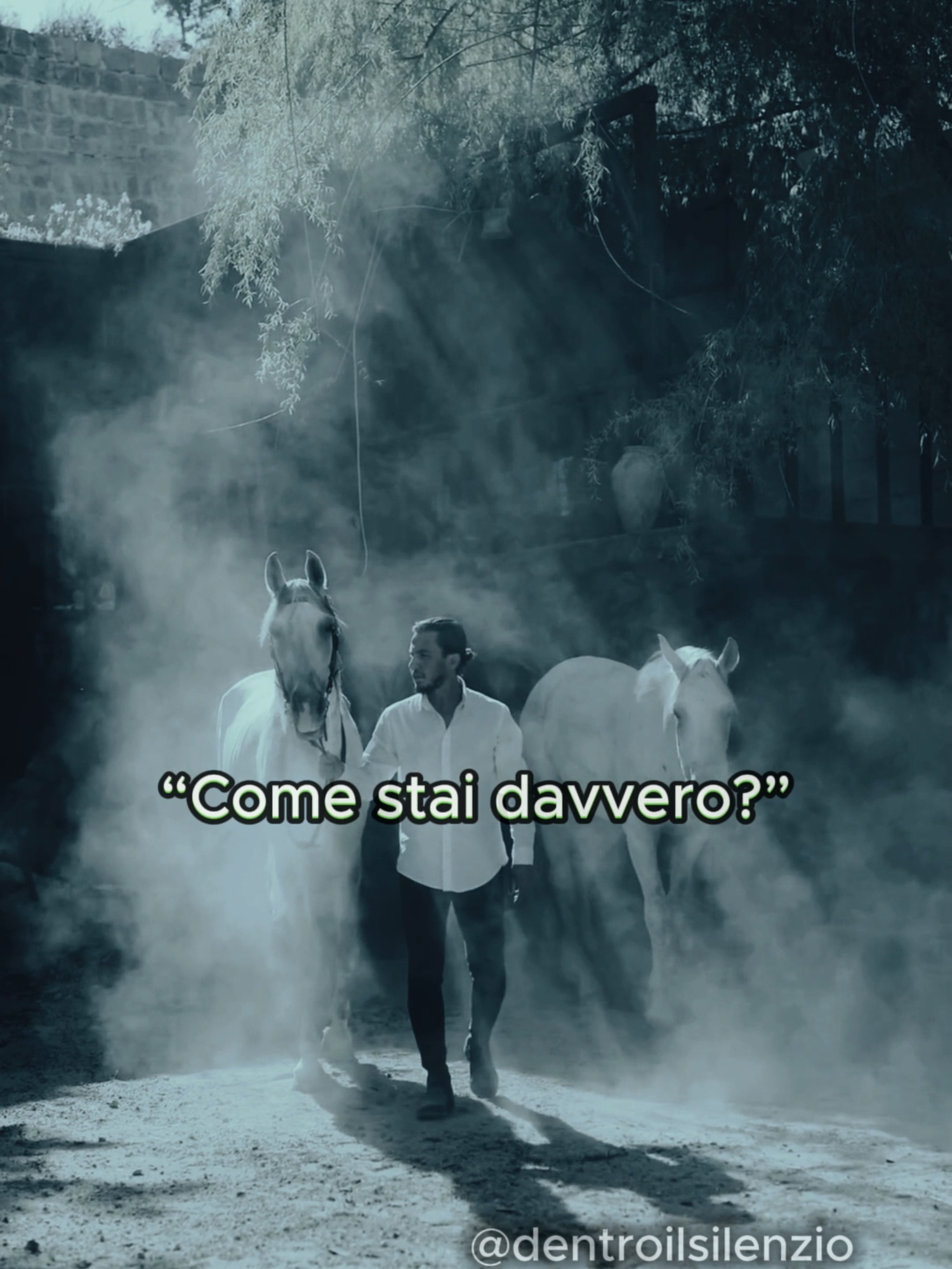 Chi regge in silenzio, spesso non viene visto. Ma merita rispetto. #dentroilsilenzio #silenzio #Forza #CrescitaPersonale #PaceInteriore