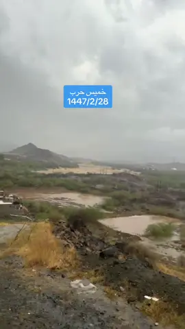 #القنفذة #خميس_حرب #مكة_المكرمة 