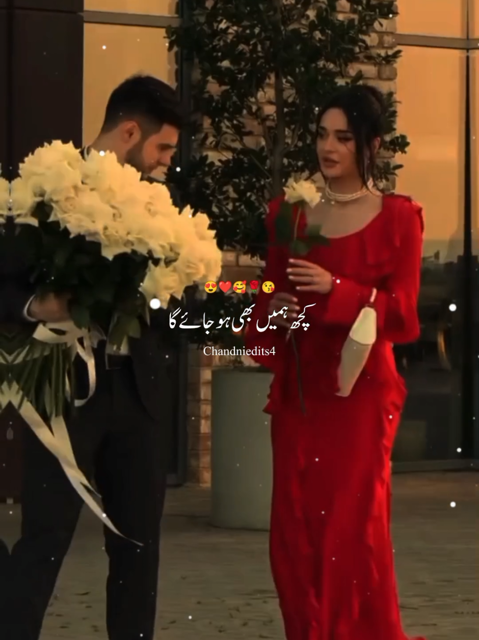 Dil nai lagta Tere bin....😍❤️🥰🌹😘 #song #status #aesthetic #viralsong#trendingvideo 