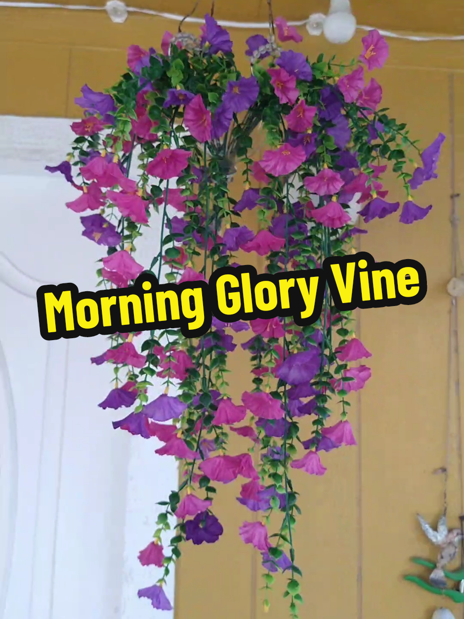 #sento #artificialflowers #uvresistant #morninggloryvine #flowerdecoration 