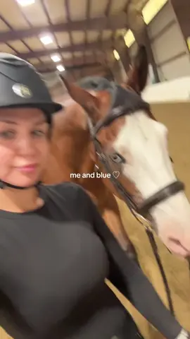 new horsey alert ♡ rising makes me so happy, and I’m doing something for myself every week I feel thankful to be able to be around these animals! #horsegirl #horses #equestrian #fyp 