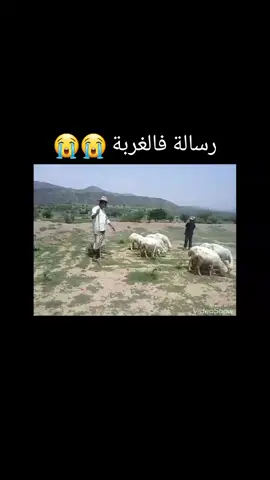 #رسالة فالغربه#اليمن_تهامة_الريف_والبساطة @عبد المعين ماهوب حجوري 