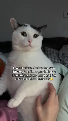 🥹