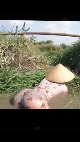 Gái xinh bắt cá mỗi ngày