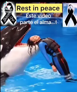 #Viral #humor #bombonas 