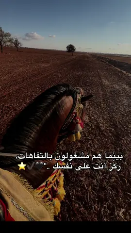 #libya🇱🇾 #اكسبلور #بنغازي #خيل_وخياله🐎 #ترند 