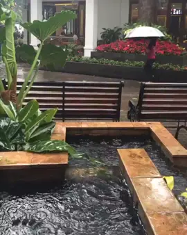 #باندونق_اندونيسيا🇮🇩 