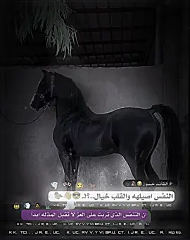 💤⚡🚸👌🌱🥴#خيل_وخياله🐎 #capcut #شعار_لايعرف_القانون❤✌🏻 #تصميم_فيديوهات🎶🎤🎬 #شعب_الصيني_ماله_حل😂😂 mnnnddjdjjddd