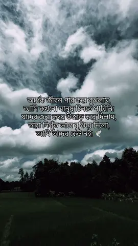 অর্ধেক জীবন পার করে বুঝলাম, আমি কখনো মানুষ চিনতে পারিনি! যাদের জন্য হৃদয় উজাড় করে দিলাম, তারা নিখুঁত ভাবে বুঝিয়ে দিলো, আমি তাদের কেউ নই! 🕊️#fyp #foryou #foryoupage #trend #trending #transition #viral #copylink #bdtiktokofficial #explore 