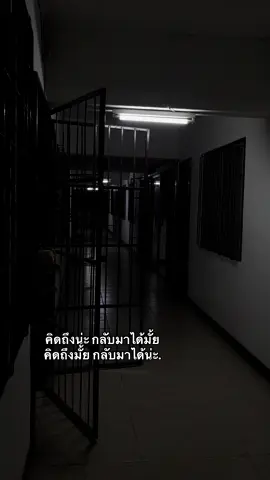 #fypシ゚ #ฟีดดด #ยืมลงสตอรี่ได้ #กดใจให้หน่อย #อย่าปิดการมองเห็น 