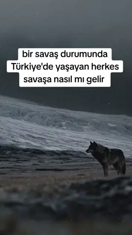 net 💪😎😂