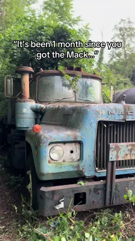 1 month ago I pulled my dream semi from where it sat for almost 30 years… here it is today. 2 month goal is to have it road worthy!