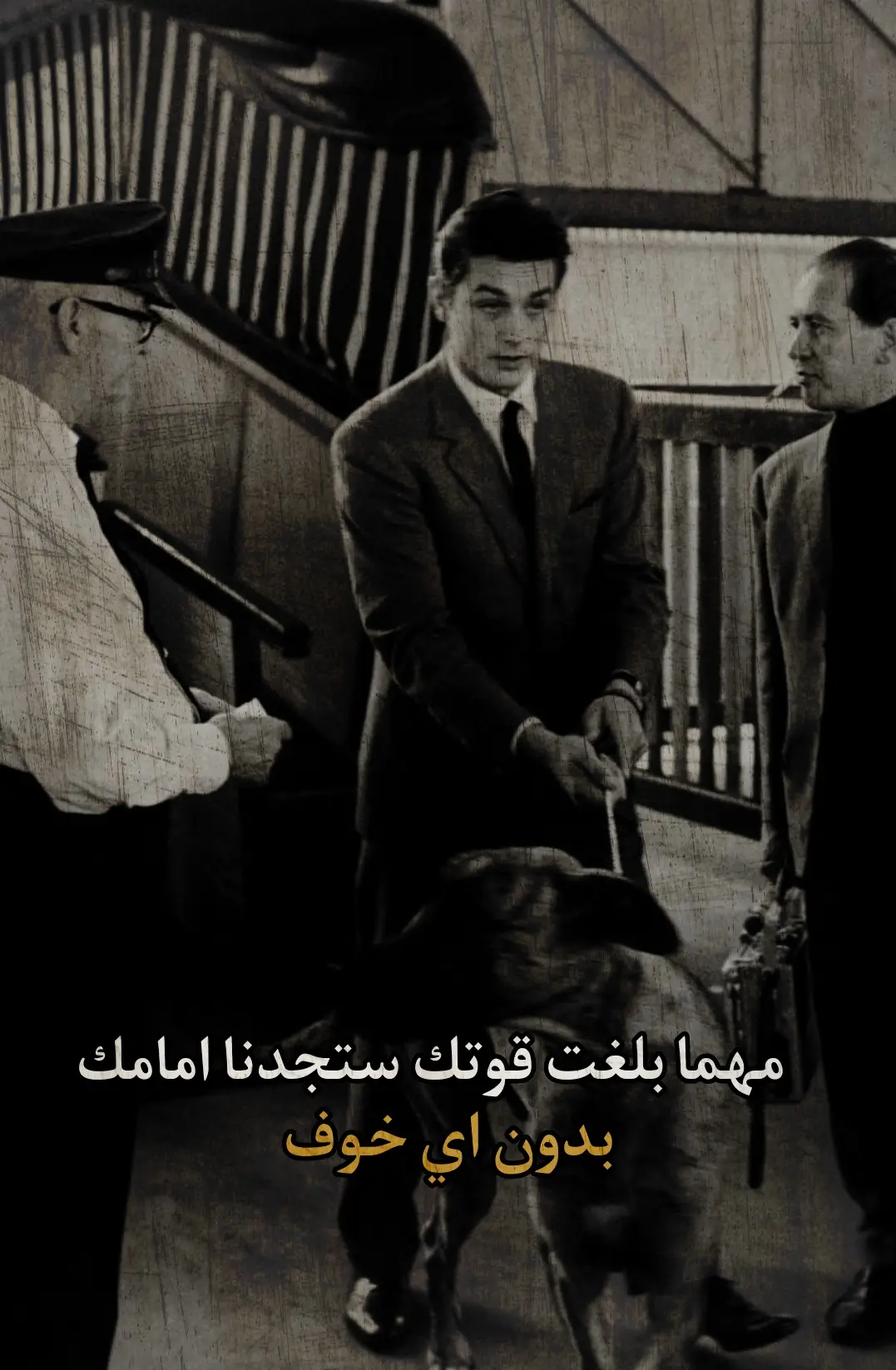 #عباراتكم_الفخمه🦋🖤🖇 #عباراتكم_الفخمه📿📌 #اقتباسات #تحفيز_الذات 
