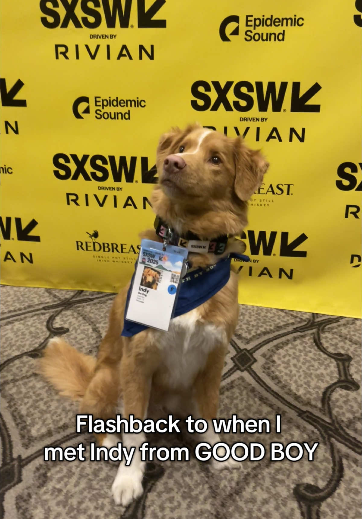 And he was so very good. His parents were lovely too and were so patient in making this movie with him. (Check out my interview with them on No Film School if you’d like to know how they made GOOD BOY.) Are you going to watch the movie? #shudder #horror @shudder @SXSW 