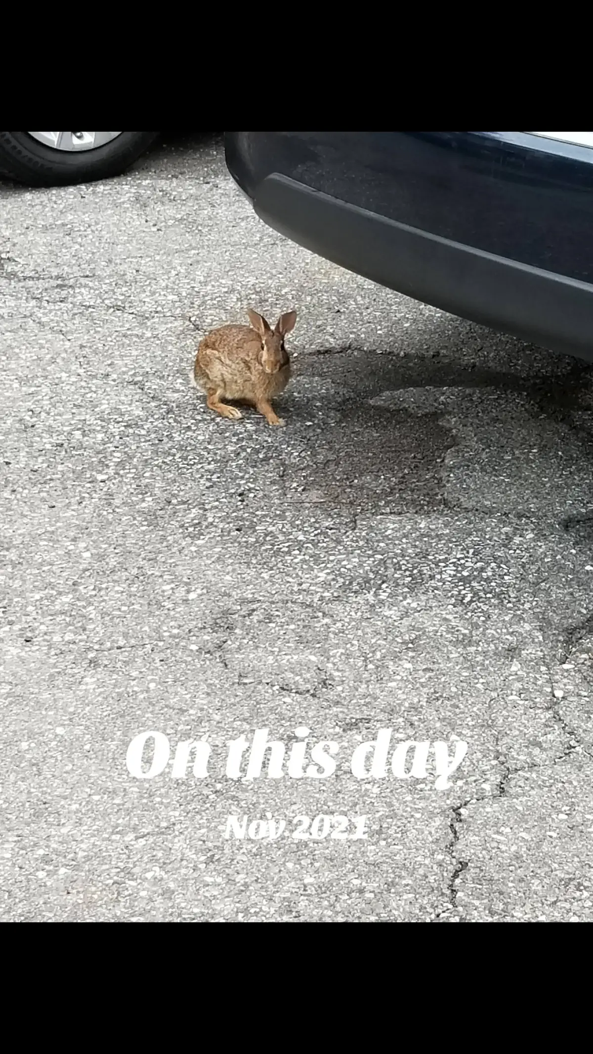 #onthisday
