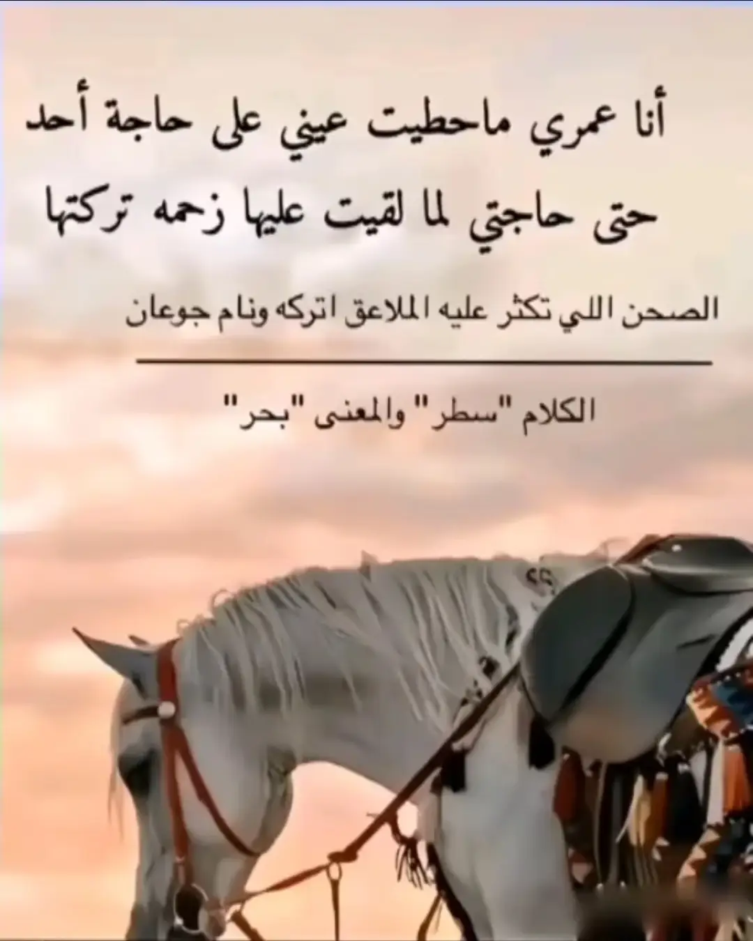 #هشتاقاتي_الترند_المشهور  #اكسبلور 