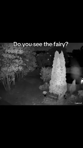 #fairy #night #nighttime #nightlife 