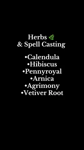 ✨ Stock your apothecary ✨ I’ve got 2 oz bags of magical herbs ready for your spellwork: 🌼 Calendula for protection & psychic powers 🌺 Hibiscus for love & passion 🌿 Pennyroyal for peace & business success 🌱 Agrimony for protection & sleep 🌾 Vetiver Root for money & grounding ✨ Arnica for healing & strength Perfect for spell jars, ritual blends, and your witchcraft practice. 🌙💫 Available now! #WitchyShop #ApothecaryHerbs #WitchcraftSupplies #SpellIngredients  