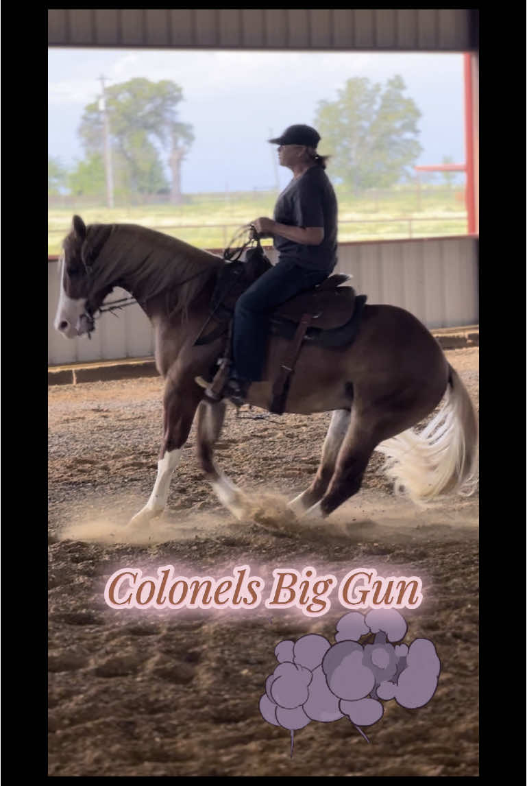 🤎🤎🤎🤎🤎🤎🤎🤎COLONELS BIG GUN Thank you @_Chantal_  for all your hard work with Bentley 🤎He is really beautiful and very good boy.  I loved riding him this morning!   #beauty #reininghorse #ranchrail #colonelsshininggun #colonelsbiggun #aqha 