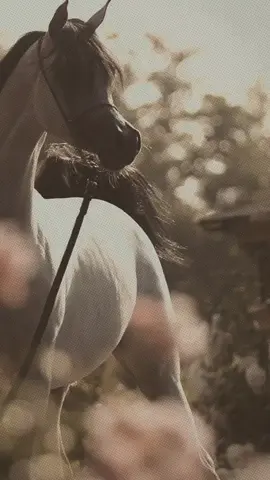 #💛 