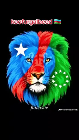 koofurgalbeed 🇦🇿 dhiiga ARR 