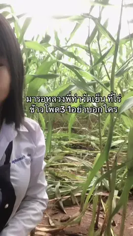 #กระแสมาแรง #ของดีบอกต่อ 