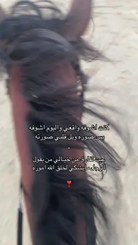 #اكسبلورexplore #foryou #🐎 