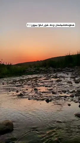 🤍🌞.