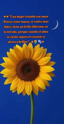 #😘🥰🥀🌺💞🌷❤️ #✧･ﾟ #🌻🌻🌻🌻🌻🌻🌻🌻🌻🌻 #girasoles🌻 #😚🥰❤️ 