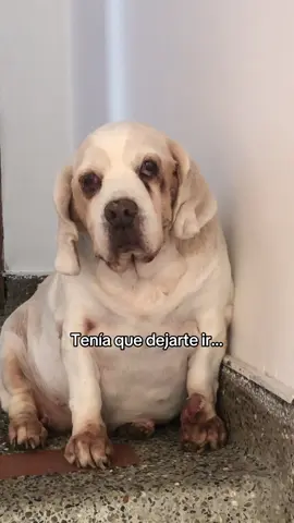 Te extraño mi pedacito de cielito 😢😭