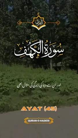 #CapCut #صبحان_الله_وبحمده_صبحان_الله_العظيم #اللەاکبر🌸✨استغفراللە🌸✨ #dawatetabligh #piyaraislam 