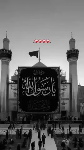 #محمد #القاسم  #أيُها المَوت تمَهل  لا تَحم حَول الرَسوُل  فـلقَد روَّعت قلباً إنهُ قلبُ البَتول  (عظم الله لكم الأجر ) بذكرى وفاة النبي الأعظم أبي القاسم محمد صلى الله عليه وآله وسلم