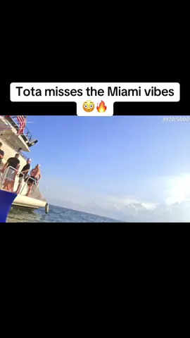 Tota misses the Miami vibes #tota #viral #foryoupage 