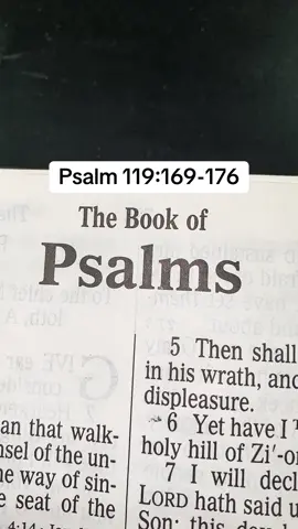#JesusChrist #Messiah #Gospel #ScriptureReading #TheSonOfDavid 