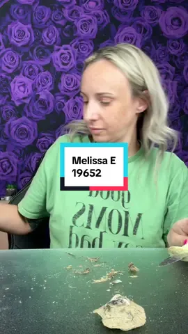 @Melissa/Travel Agent #roselee 