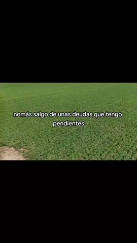 #hdptm #challenge #motivation #newholland #jonhdeere #viral_video #modoguerra #agro #campo #agronomia 