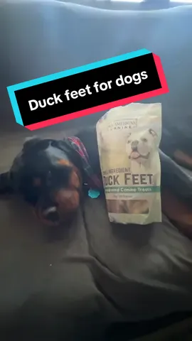 #DuckFeetTreats #HealthyDogSnacks #DogTok #PetParents #TikTokMadeMeBuyIt