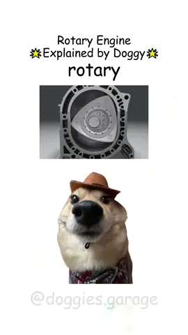 Doggy teaches rotary engines #fyp #viral #dog #car #engine 
