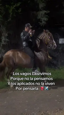 #caballos #elbilletudo #motivacion 