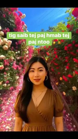 txhob txhawj taig kis