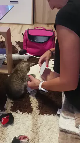 💅🐈‍⬛