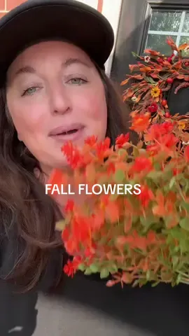 Using artificial fall flowers and mums instead of real flowers I have to water was genius! #falldecor #fallflowers #falloutdoordecor #falldecorating #fallmums 