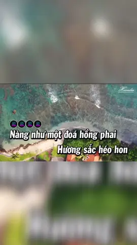 Cánh Hồng Phai#karaoke#viral 