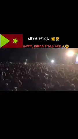 #እገላዊ🤴♥️እገላዊት👸 #ትግራይ_ንዘለኣለም_ትነብር🙏🇻🇳💊 