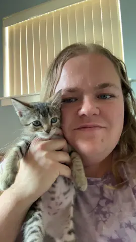 i’m not ready to be all done kittens 😭😭 #fosterkittens #fosteringsaveslives #cutekitten #petlover 